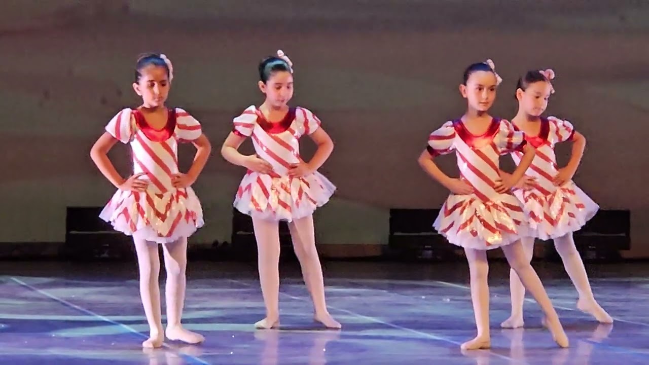 Ballet nutcracker / Findikkiran/