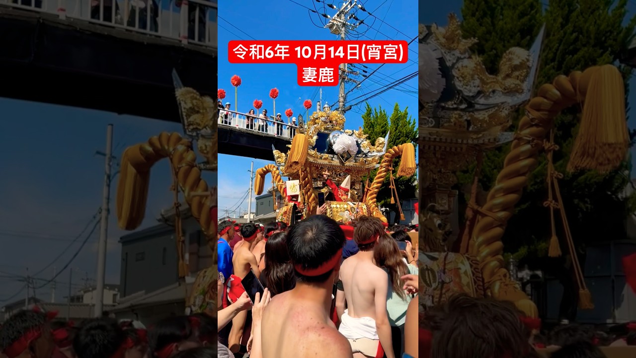 令和6年 (宵宮)妻鹿　屋台練り#灘のけんか祭り #祭り #2024 #妻鹿 #japan #festival #令和
