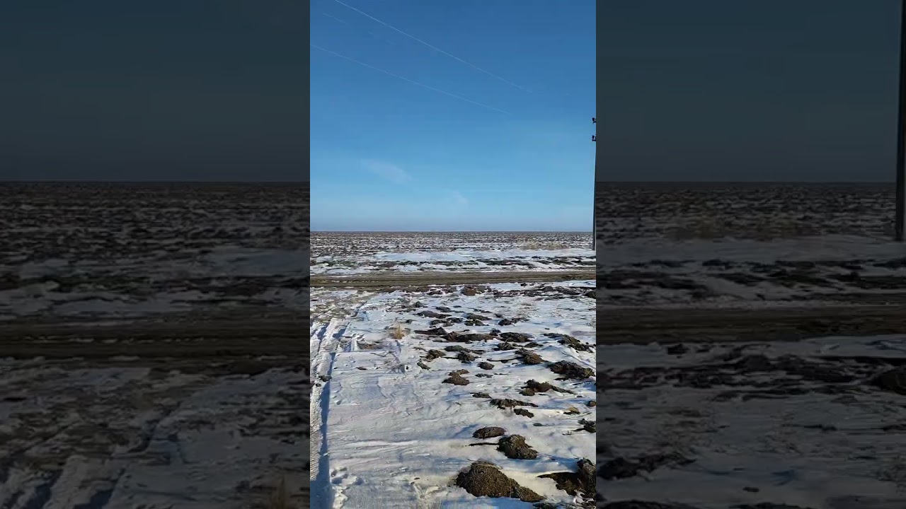 Приехали на охоту