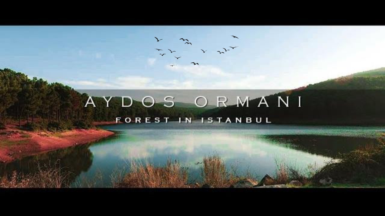 AYDOS ORMANI : FOREST IN ISTANBUL