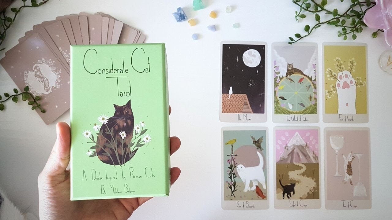 Tarot Considerate Cat ❤ La Más Adorable de Mis Barajas | Review en Español