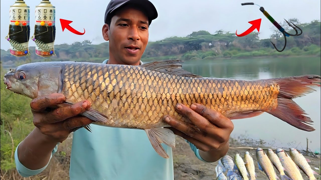 3Hook Fishing Techniques | Feeder Fishing For Carp | Fish Fishing Videos | Fishing Video | Fishing