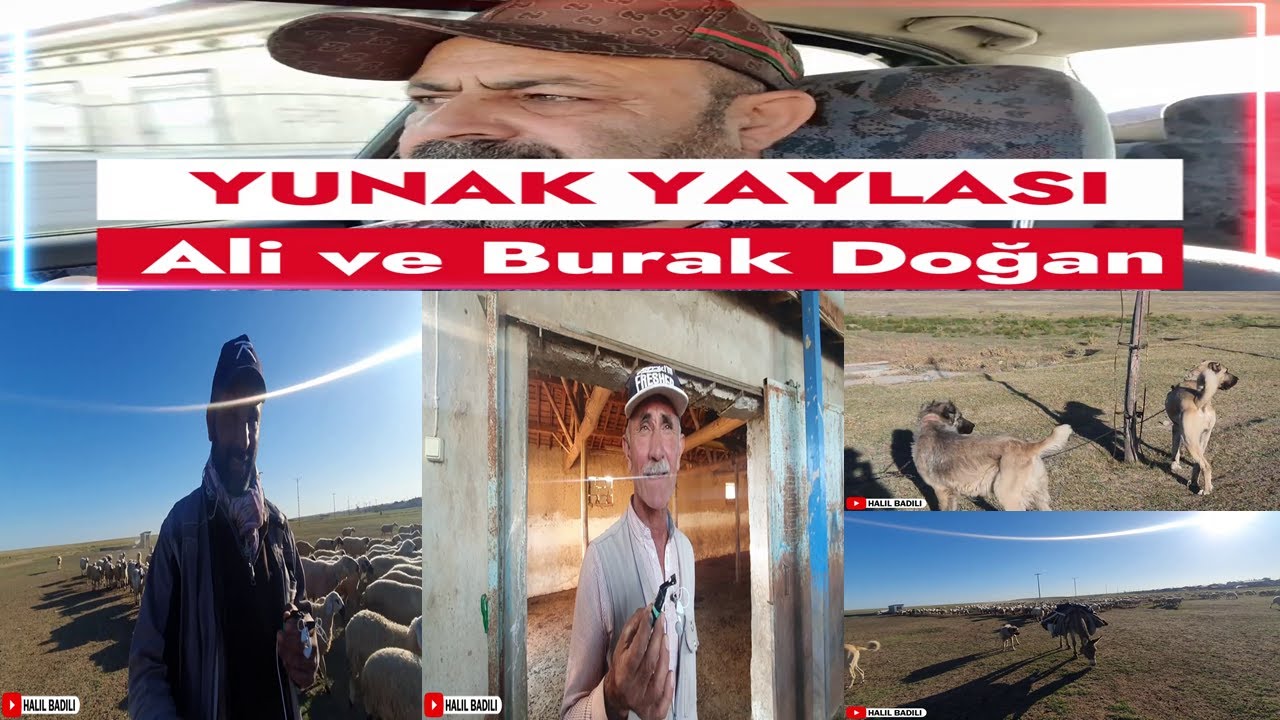 Yunak Yaylası, Ali ve Burak Doğan'ı Ziyaret Ettim