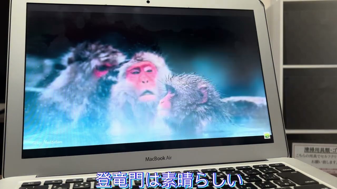 登竜門は素晴らしい