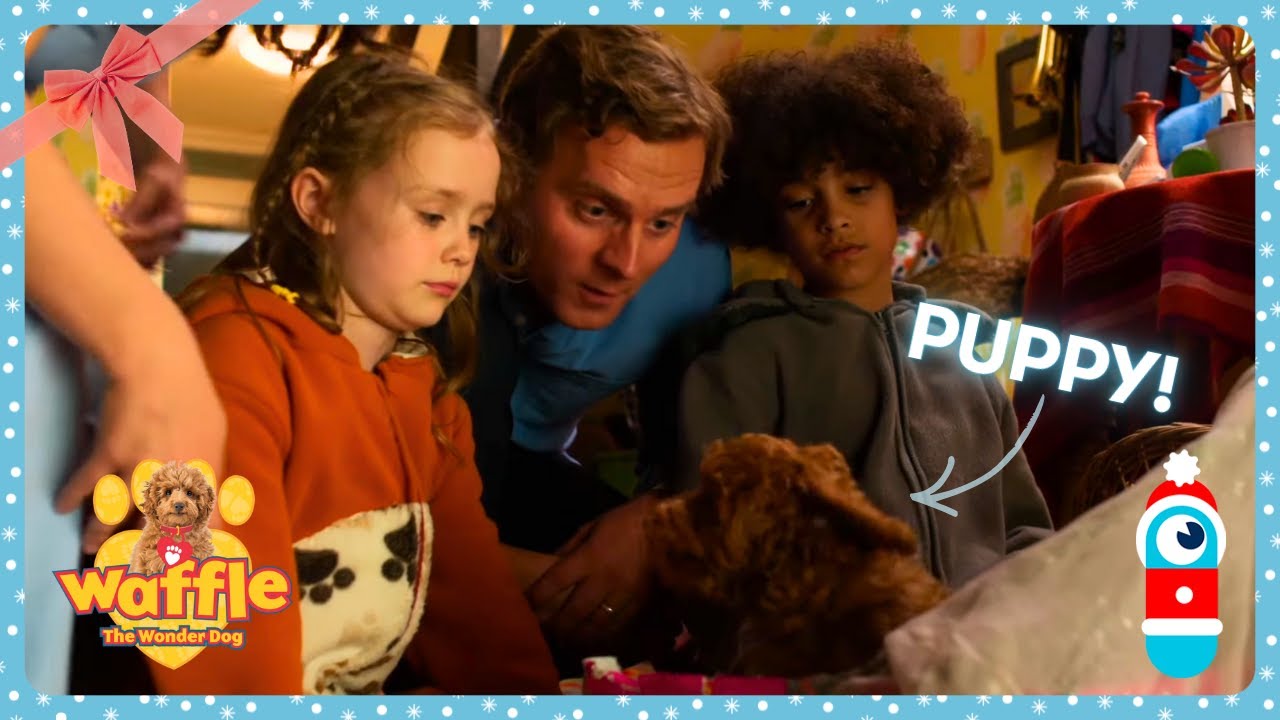 Waffle the Wonder Dog - Meeting Waffle for the First Time! | Best Shows for Kids | WildBrain Zigzag