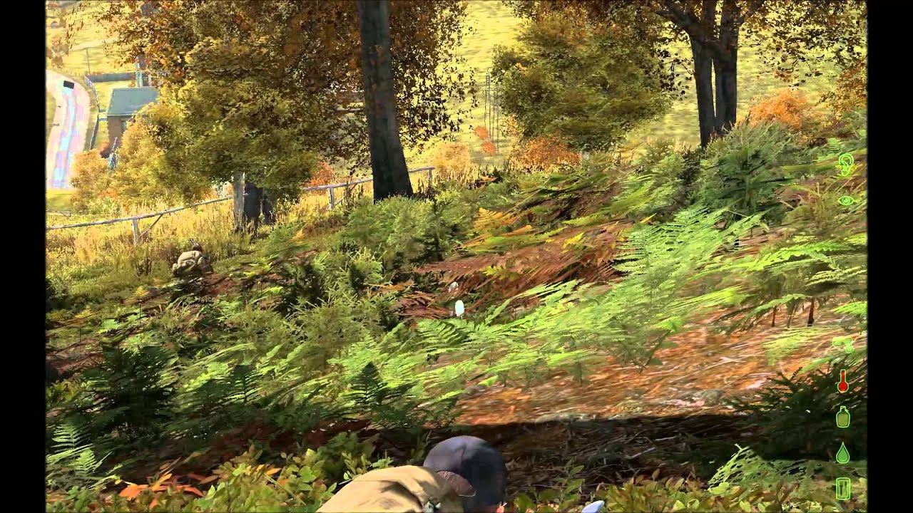 Dayz