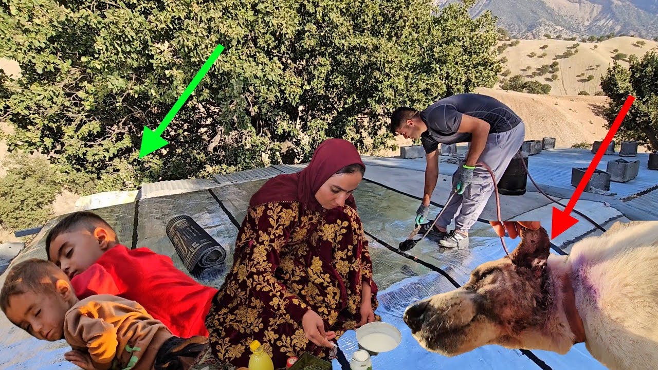Waterproofing the Restored Farmhouse Begins! 🏡🔥 Ali & Hamed at Work + Fatemeh&rsquo;s Delicious Lunch