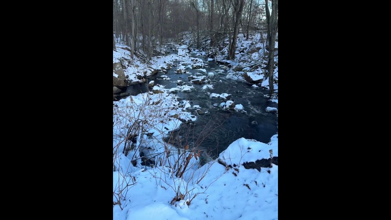 Snow-Covered Babbling Brook ❄️ ASMR Winter Nature — White Noise Flowing Water for Sleep, Meditation
