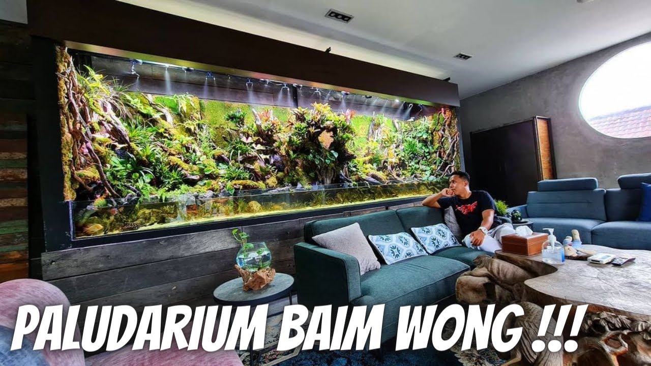 KONDISI TERKINI PALUDARIUM BAIM WONG UDAH KAYA LUKISAN 3D GOKIL !!!!!