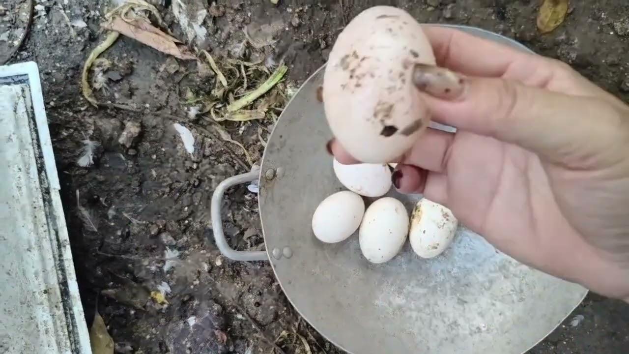 Mùng 6 Tết của Thủy...