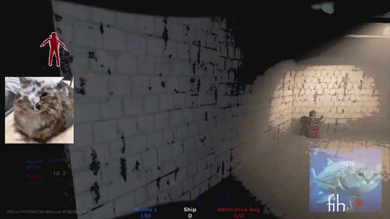 Solo v56 rng carried