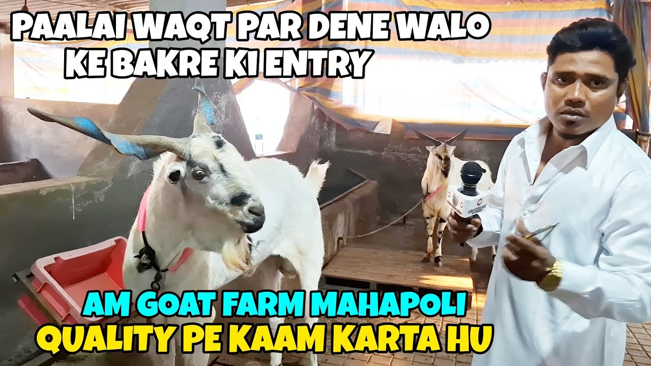 AISA Q BOLE FAISAL BHAI NE ???