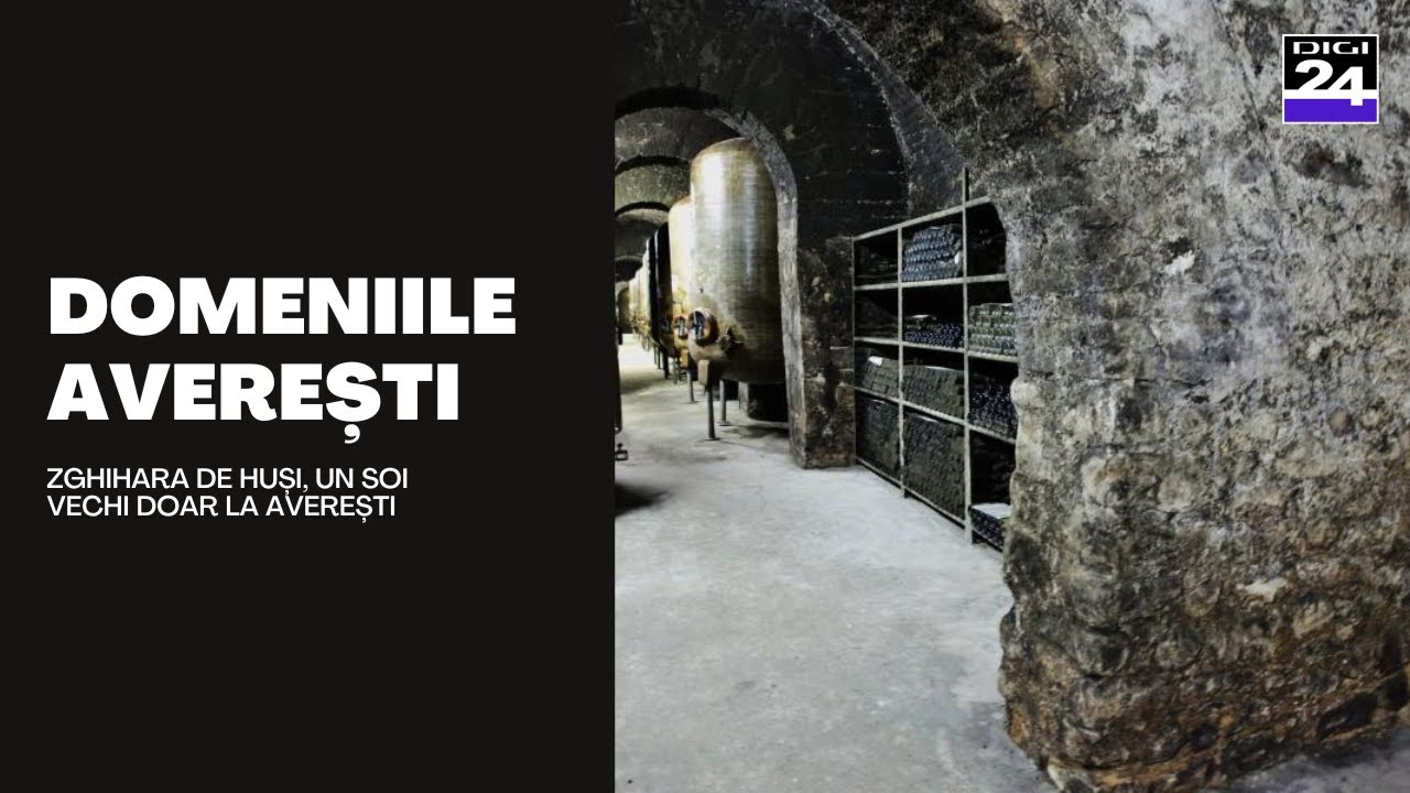 Cramă modernă pe Domeniile Averești: Zghihara de Huși, un soi vechi găsit doar la Averești