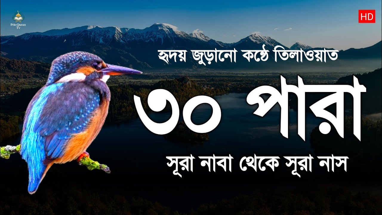 কোরআনে ৩০ পারা তিলাওয়াত | Juz Amma Tilawat | quran recitation | By Alaa Aqel 