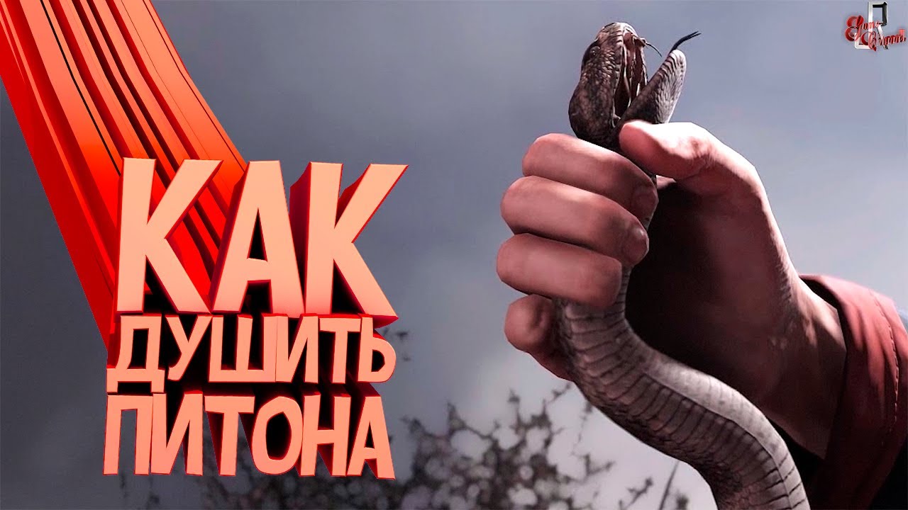 Как душить питона ( RUST / PUBG / GTA RP / Wolfenstein YB )