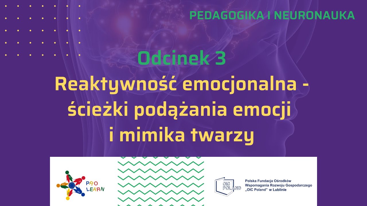 1.3 Reaktywność emocjonalna - ścieżki podążania emocji i mimika twarzy
