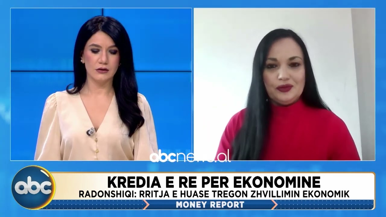 Kredia e re për ekonominë/ Ekspertja: Rritja e huasë tregon zhvillimin ekonomik