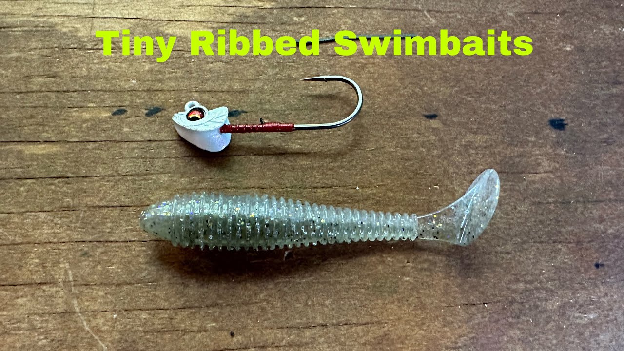 How And When To Fish Small Ribbed Swimbaits