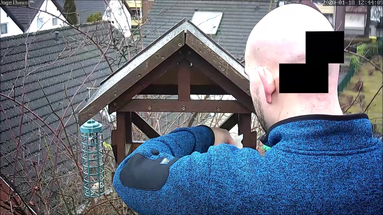 Vogelhaus reinigen 18.01.2019