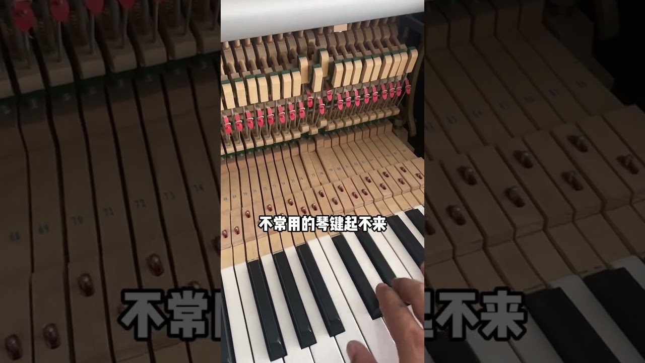 Piano tuning repair in Beijing-tianjin-hebei region