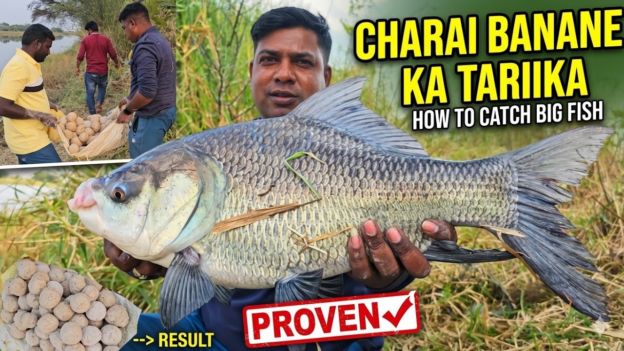New Fishing Location Charai Karne Ka Techniques | Special Rohu Catla Halwa Chatni | Fishing Vlogger