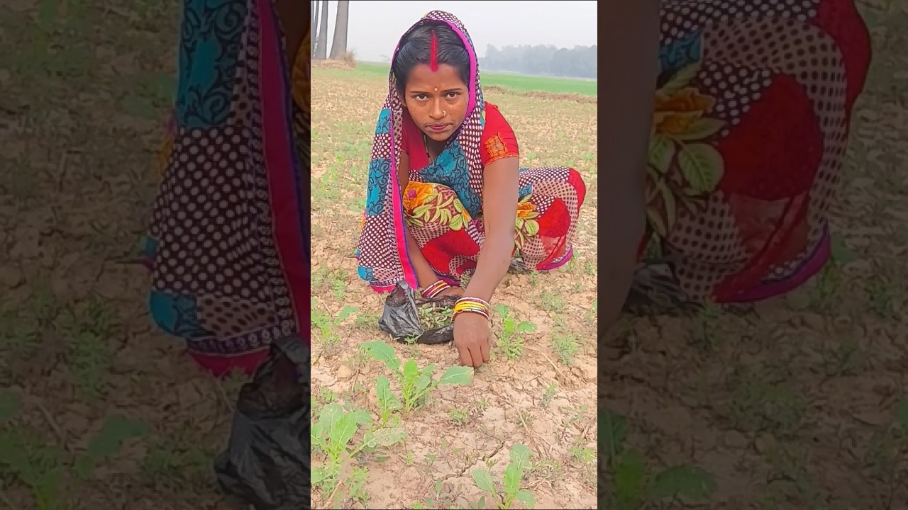 Pari lagelu#shorts #youtube feed #youtubeshorts ##parmodyadav #dancevideo
