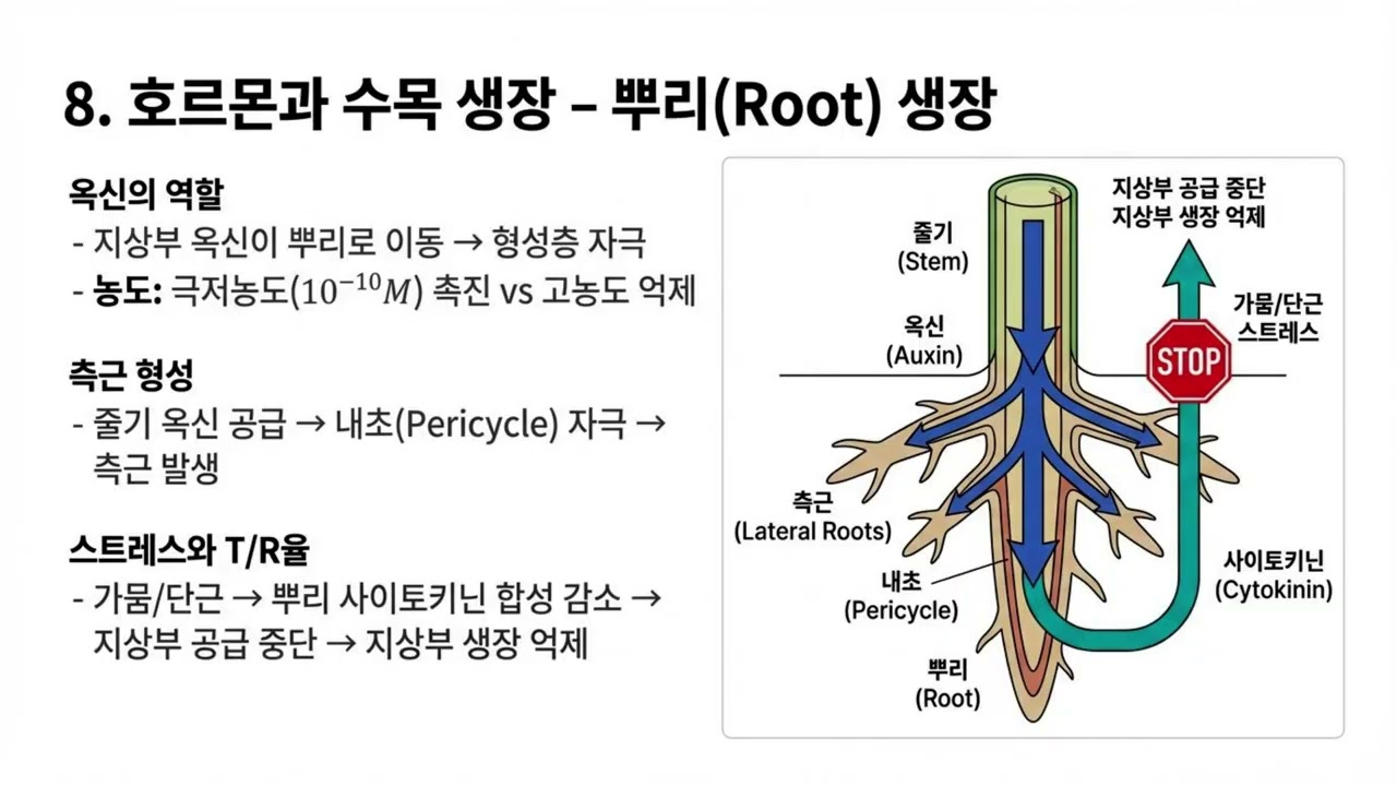 제8강 식물 호르몬과 이상재