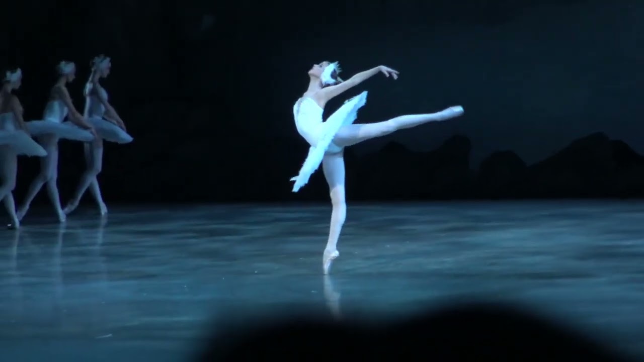 Maria Ilyushkina  (Mariinsky Ballet) White Swan variation