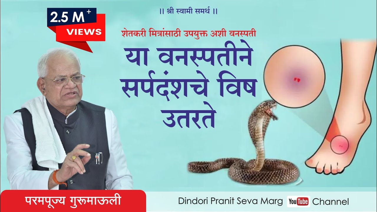 शेतकरी मित्रांसाठी उपयुक्त अशी वनस्पती- सर्पदंशावर आयुर्वेदिक  उपाय