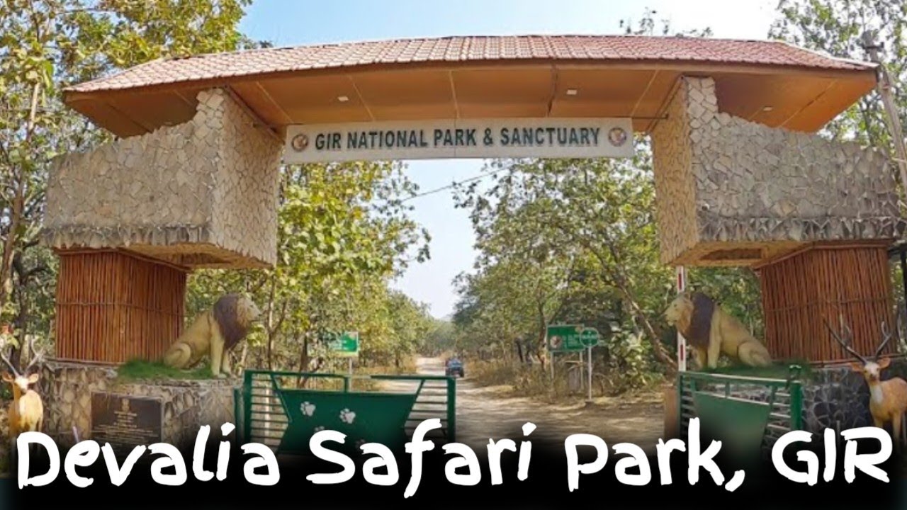 Jungle Safari in Devalia Park | Gir National Park Safari | Complete Tour Guide | Gir Safari Booking