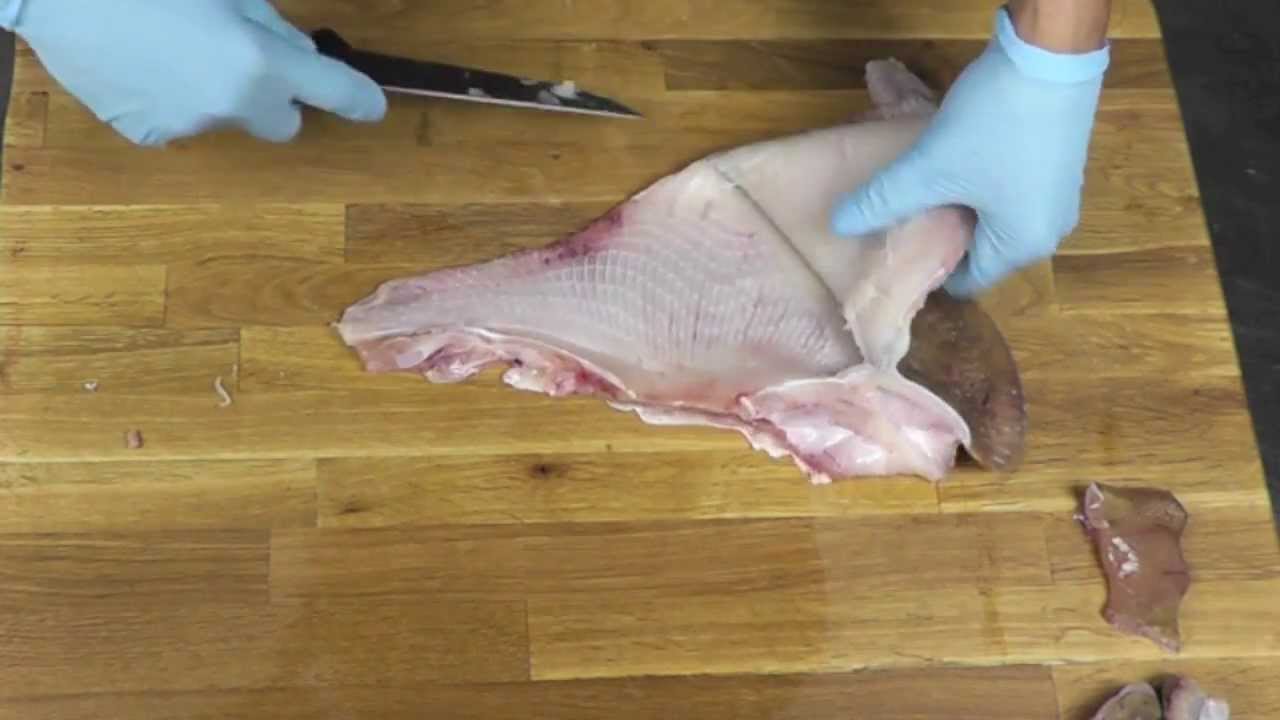 Butchering a Skate Wing: How to Fillet & Clean a Skate Fish