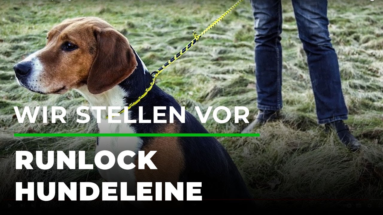Wir stellen vor: Runlock Hundeleine | GRUBE.DE