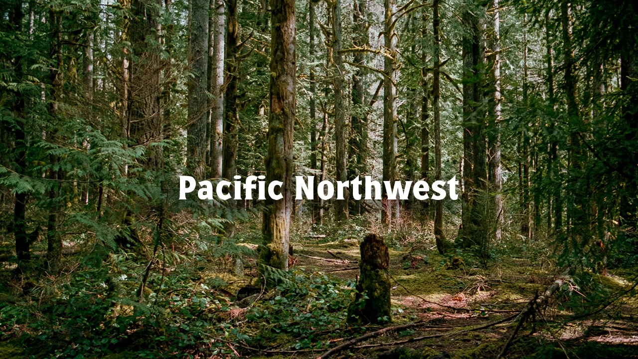 Exploring the Cascades: Shooting Film Along Highway 2