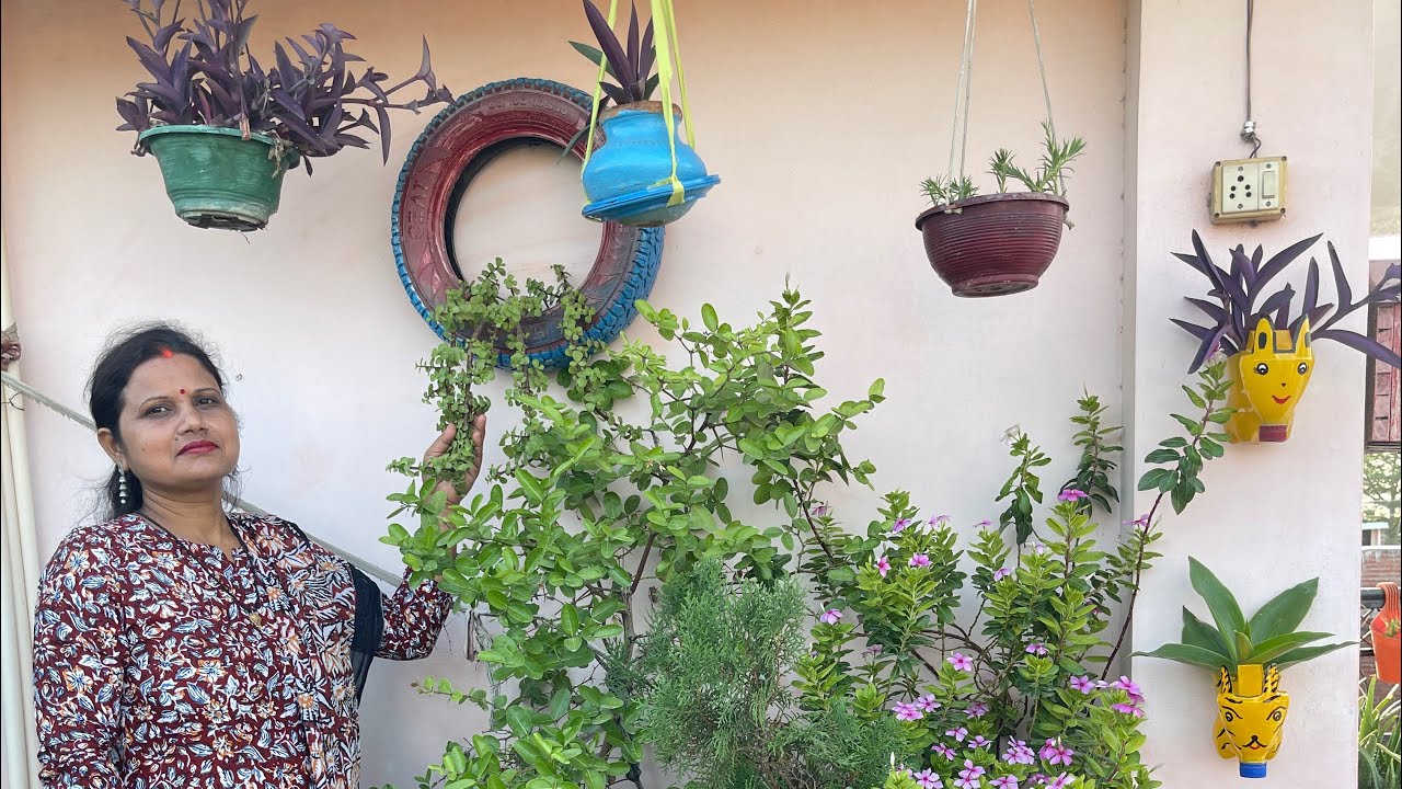 कभी नहीं सोचा था, की इतने कम पैसों में तैयार होगी मेरी बगिया 😯 💵 Low Budget Gardening Tips 🪴