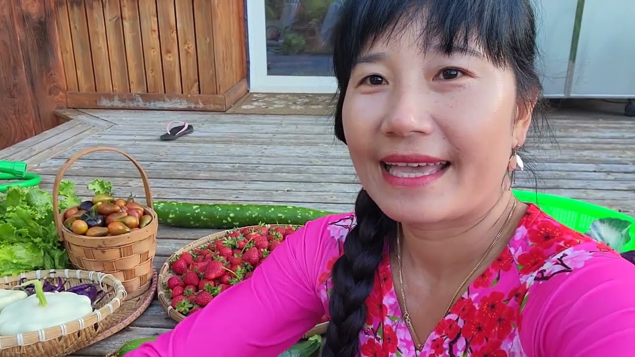 THU HOẠCH BẦU DÀI,XÀ LÁCH CUỘN, BÍ ĐĨA BAY TRẮNG  DƯA HẤU TÝ HON, CÀ CHUA TRIỆU NGỌT 