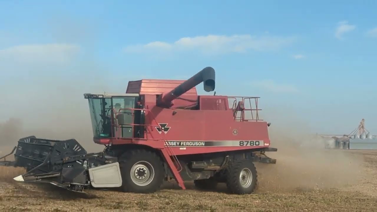 1st Time Capturing the Red Beast Killing Soybeans - Massey Ferguson 8780 #harvestchaser 4K