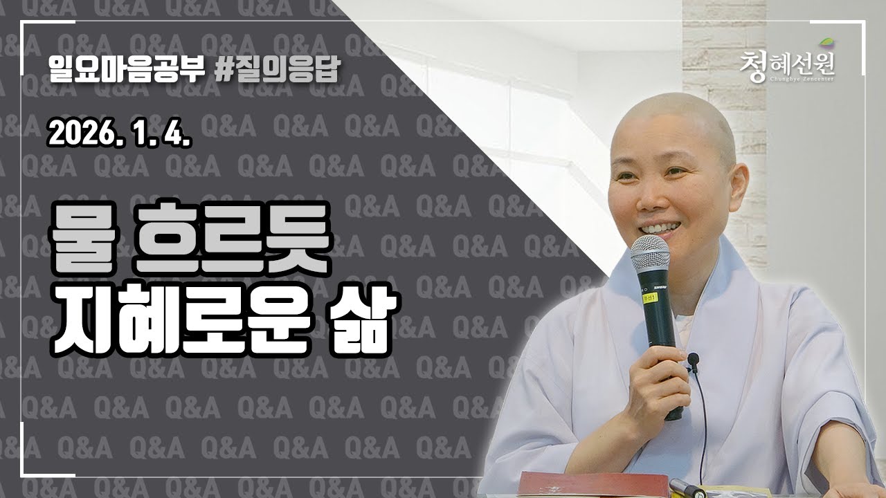 2026.01.04. [청혜선원] 일요공부ㅣ질의응답 시간  
