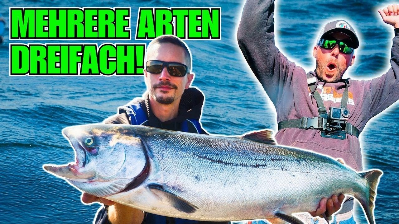 500 $ stehen auf dem Spiel... und dann DAS!