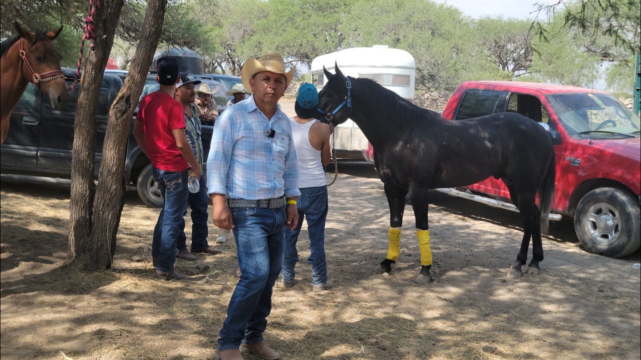 📍CARRIL EL SALTO REVANCHA de CABALLOS DOSAÑEROS CARRERAS Y CAIDAS  17 /05/2025