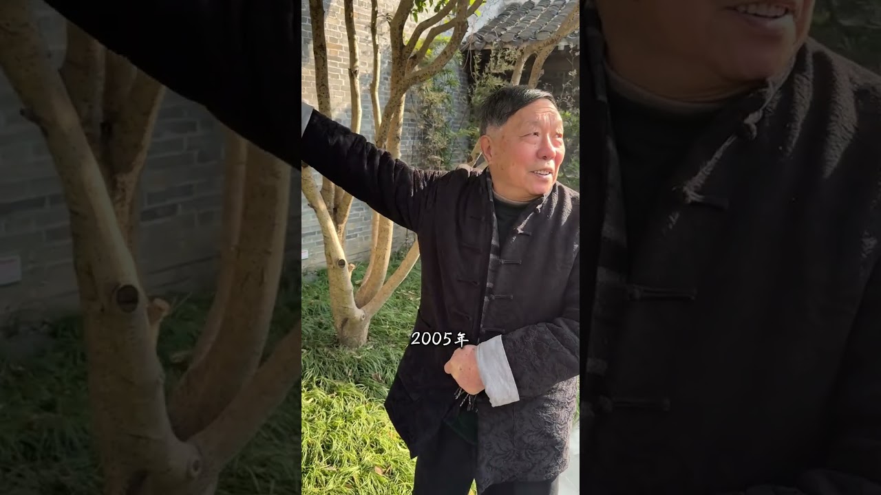 The Enchanting Guqin: Master's Praise for a Timeless Tradition