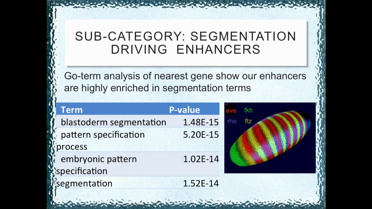 H Arbel: Accurate prediction of early anterior-posterior enhancer sequences from ChIP-seq data.