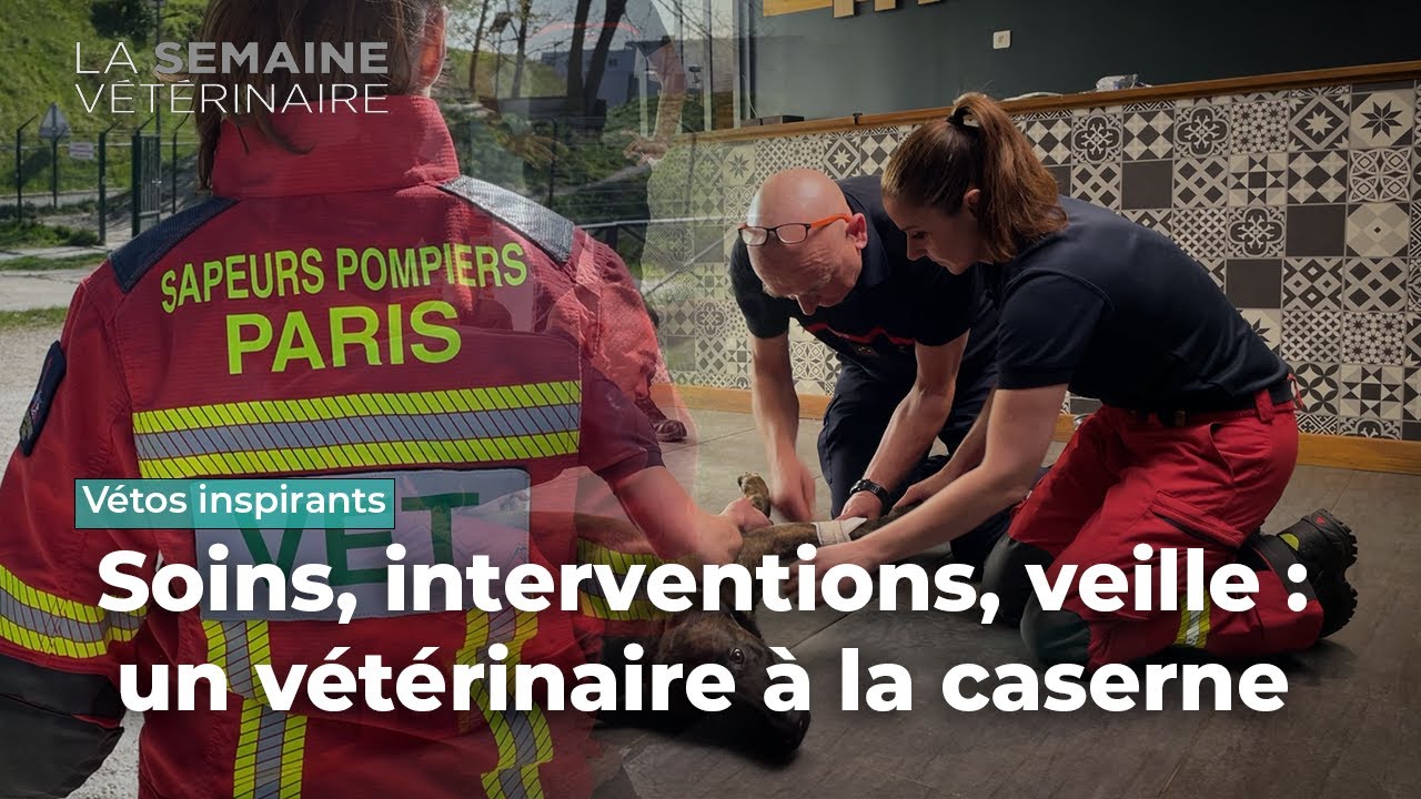 Portrait de Christelle : vétérinaire sapeur-pompier