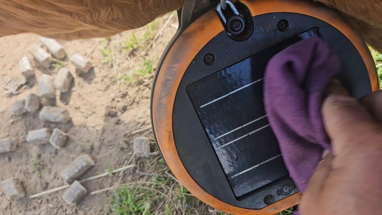 Limpio la fotovoltaica del toro😅😅😉