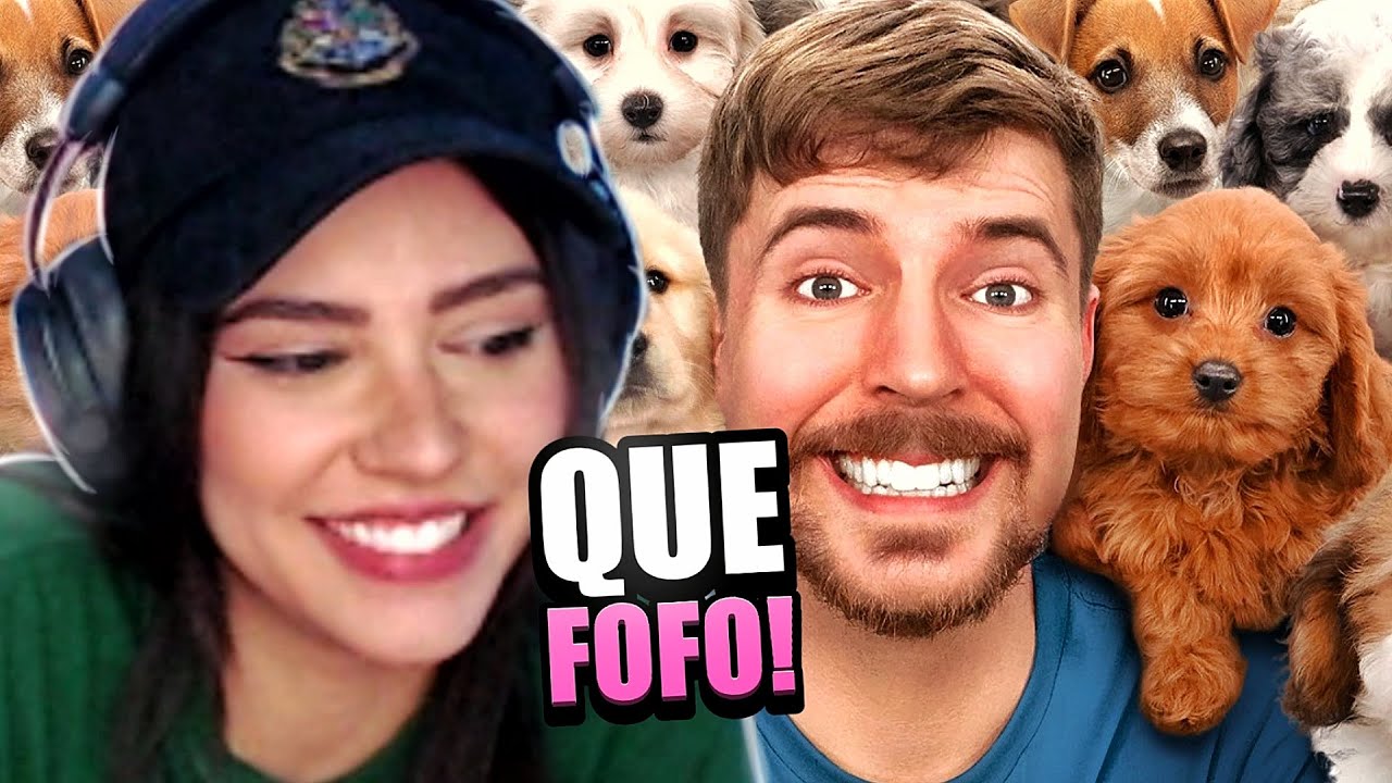 CHOREI !! 100 CACHORROS SENDO ADOTADOS - MR BEAST | LOUD MII REAGE
