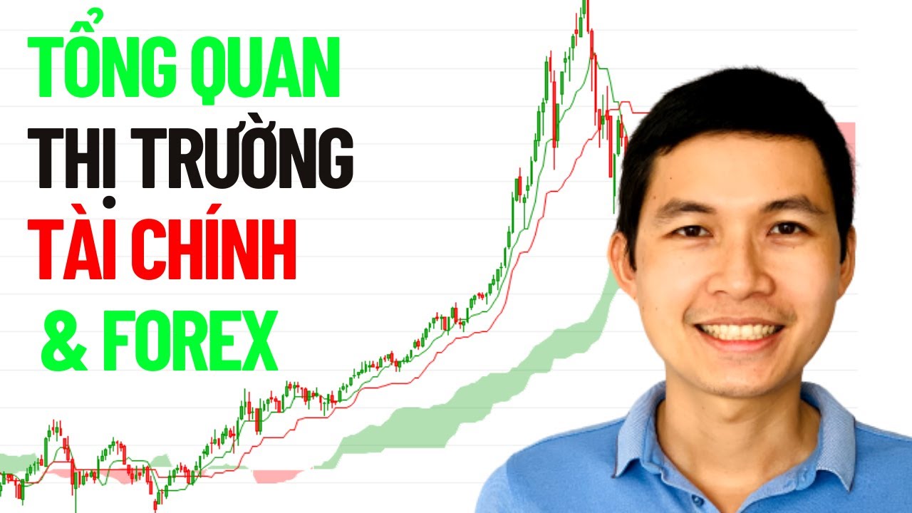 [Trinity Trader] #1 Học Forex Cho Người Mới Bắt Đầu | Tổng Quan Thị Trường T&agrave;i Ch&iacute;nh & Forex