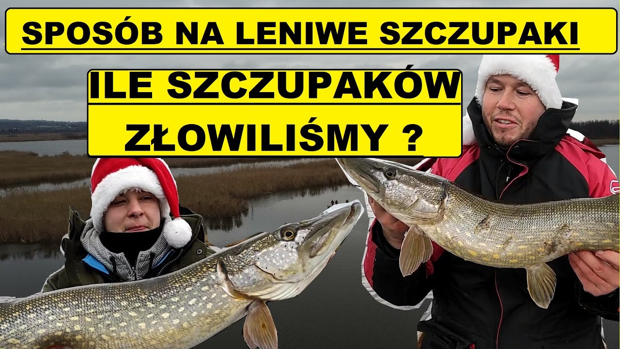 MIKOŁAJKOWE SZCZUPAKI - GRUBE MAMUŚKI Z JEZIORA DRUŻNO - ZIMOWE SZCZUPAKI - ILE SZT ZŁOWILIŚMY?