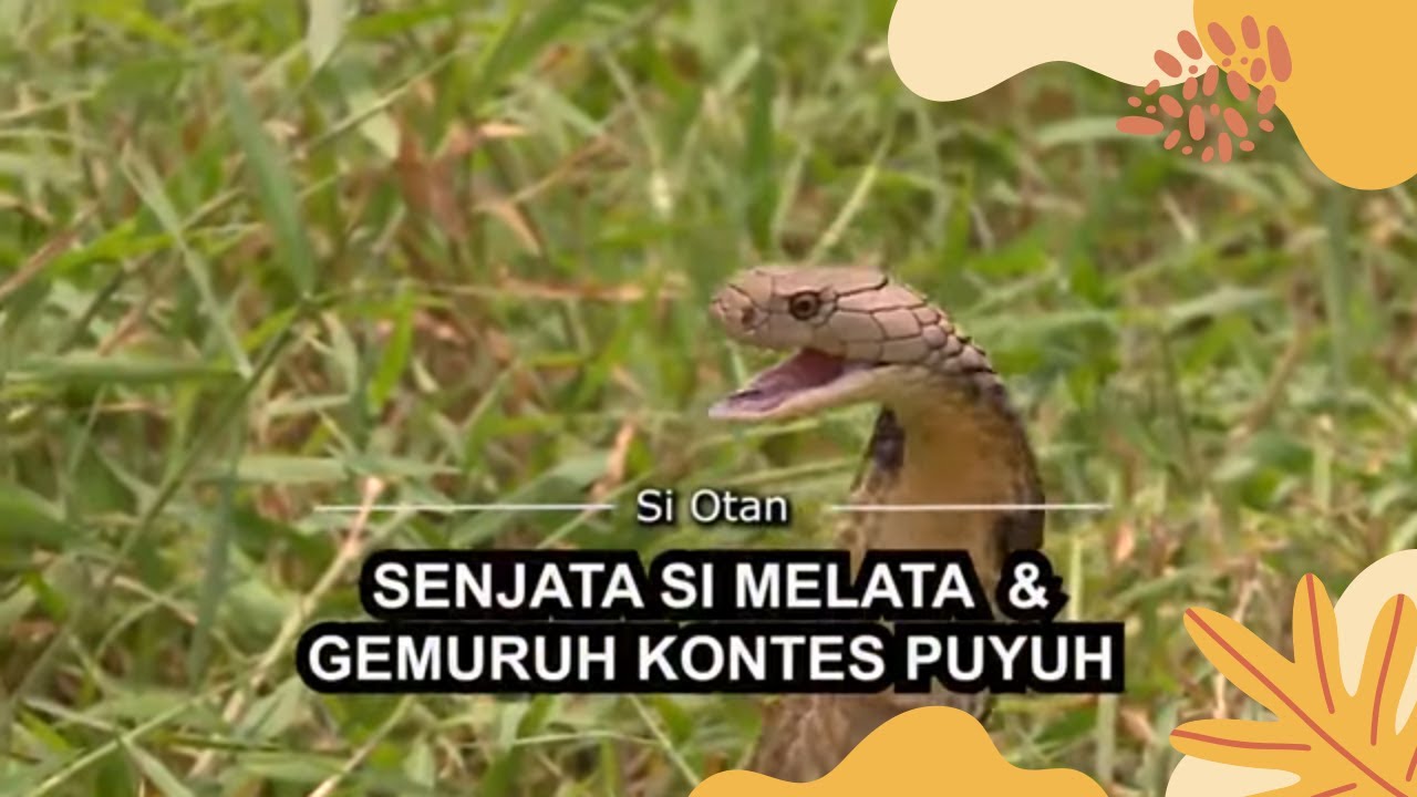 [FULL] | SI OTAN (19/07/21)