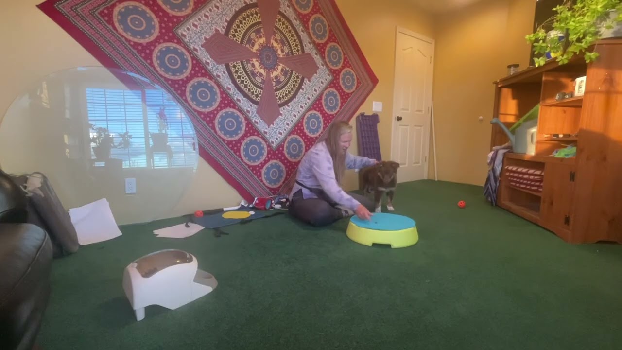 sending forward to place no motion