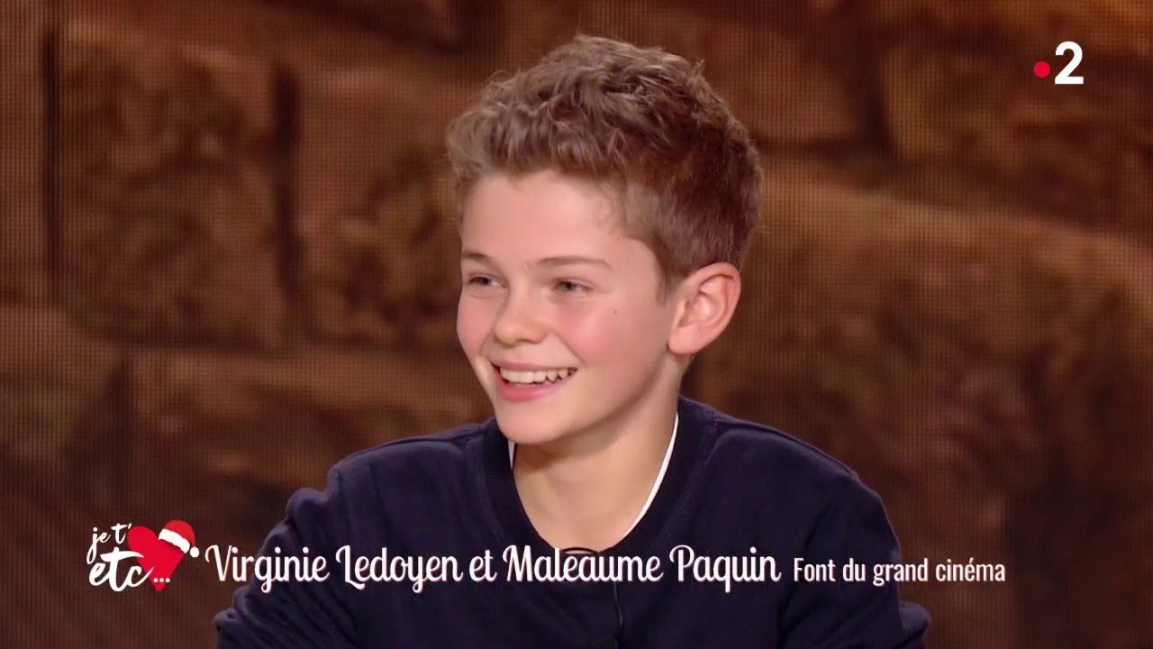 Remi, Vitalis, le fidèle chien Capi et le petit singe Joli-Cœur sur grand écran ! - Je t’aime etc