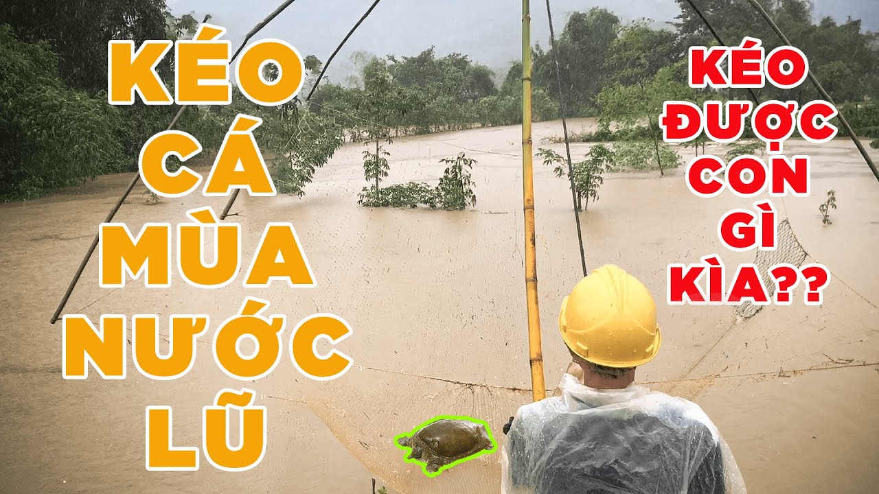 KÉO CÁ MÙA NƯỚC LŨ | Đại Ngàn Ơi